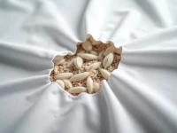 沃尔玛断供背后埃及棉认证危机与零售商供应链信任崩塌