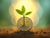 South African Rands Strength Lures Chinese Investors