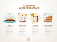 进口芒果果浆清关环节详解一步步带你了解流程