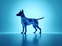 宠物医疗新风口精准诊断掘金百亿蓝海市场