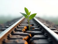 US Rail Freight Decline Reflects Trade Logistics Risks