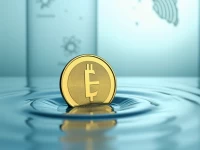 斯威士兰里兰吉尼汇率权威指南实时行情换算工具一应俱全