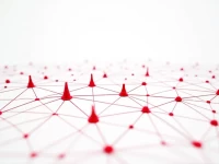 Xiaohongshu Users Boost Engagement Through Mutual Following