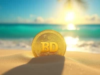 Barbadian Dollar Exchange Rates and Trends Analyzed