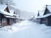 日本多地暴雪预警宅家安全指南与出行建议