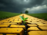 Yellow Corp Bankruptcy Spurs Freight Industry Shakeup