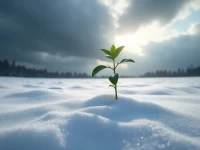 亚马逊欧洲站凛冬将至卖家突围自救指南