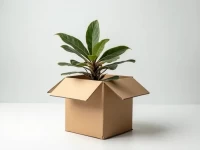 Guangzhous Banggood Struggles Amid Ecommerce Downturn