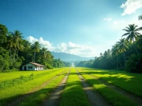 Bougainville Airport Emerges As Papua New Guineas Travel Hub