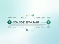 确保汇款安全了解SCBLSG22STM SWIFTBIC代码的必要性