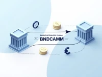 BNC Facilitates Crossborder Transfers Via SWIFT Network