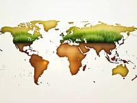 母婴纸尿裤出海从广撒网到精耕田的战略跃迁