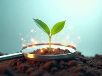 WordPress SEO 利器精选插件助你流量倍增