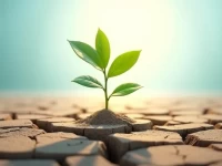 疫情阴影下的曙光美国非制造业二月逆势上扬韧性凸显