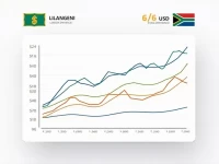 了解25 SZL与USD的汇率变动及市场趋势