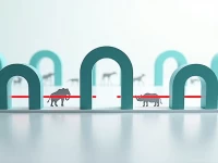 INAMA项目助力马拉维海关构筑打击非法野生动物贸易的风险防线