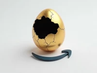 Amazons Brandbuilding Challenges for Sellers Revealed