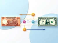 Paraguayan Guaran to US Dollar Conversion Guide