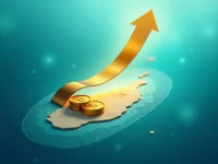 Bank of Maldives SWIFT Codes Guide for Global Transfers