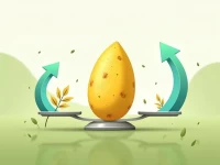 种用芥子的HS编码解析与税率信息概览