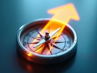 航司战略突围如何在多变市场中制胜