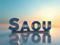 圣路易斯机场代码揭秘SAOU通往阿根廷的空中钥匙