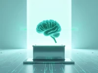 摩洛哥海关智能化升级SECOWCO助推AI风险管理战略落地