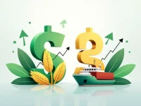 USD to Paraguayan Guarani Exchange Rate Trends Analyzed