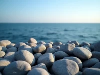 非制造业韧性十足连续20个月增长释放积极信号