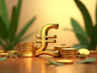 Cubas Peso Exchange Rates and Market Dynamics Explained