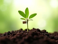 Chinas Pet Industry Boosts Talent Development for National Brands