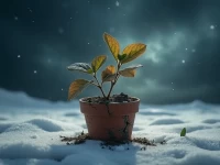 跨境电商寒冬订单断崖式下跌企业被迫提前四个月放假